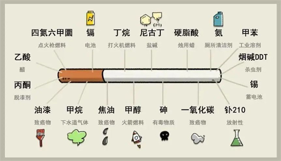 世界無煙日——“無煙，為成長護航”